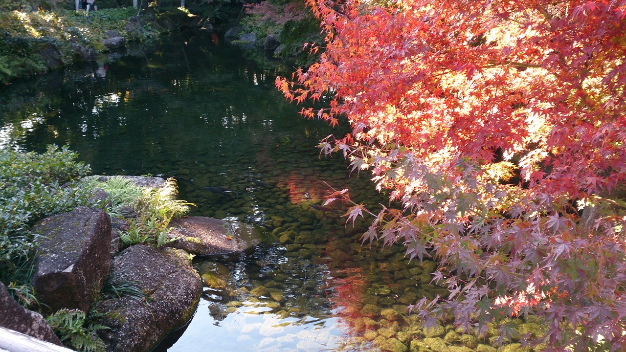 紅葉の徳川園 愛知県の旅行記 ブログ By パピさん フォートラベル