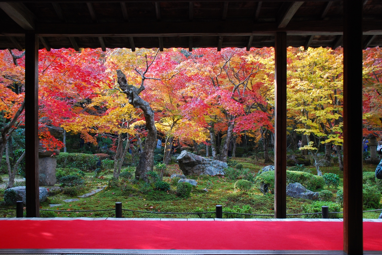 紅葉の京都へ行こう 曼殊院 圓光寺 下鴨 宝ヶ池 平安神宮 京都 の旅行記 ブログ By Shicunさん フォートラベル