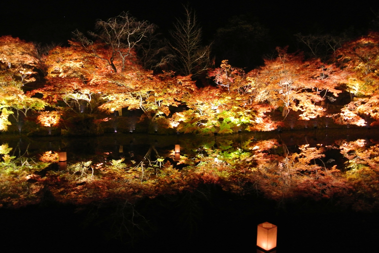 紅葉夜のライトアップ 佐賀 御船山楽園 武雄 多久 佐賀県 の旅行記 ブログ By つぼ九郎さん フォートラベル