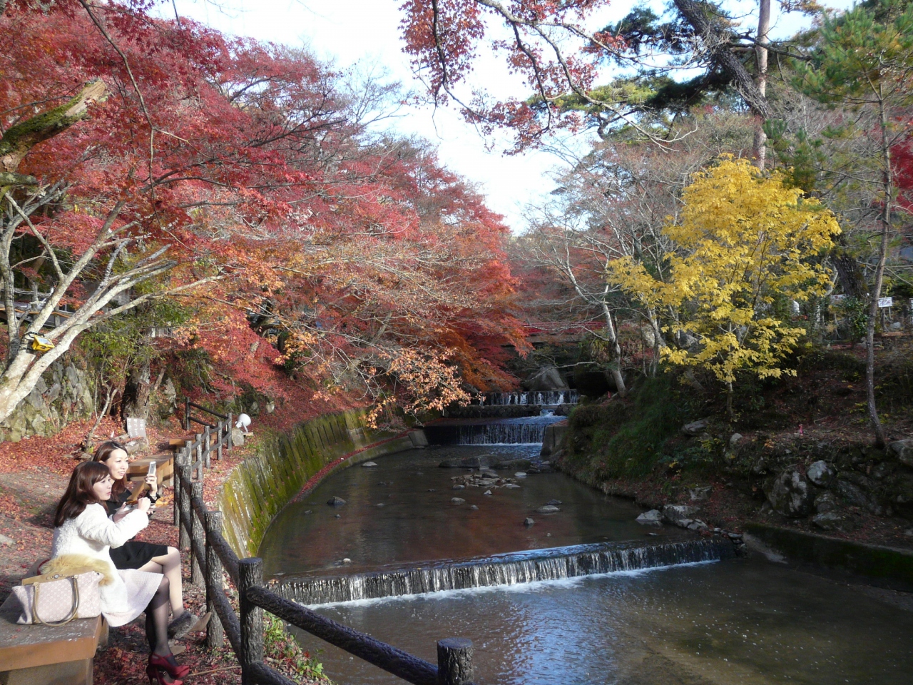 瀬戸 岩谷堂公園の紅葉 瀬戸 愛知県 の旅行記 ブログ By Melonpanさん フォートラベル 瀬戸 岩谷堂公園の紅葉 瀬戸 愛知県 の旅行記 ブログ By Melonpanさん フォートラベル