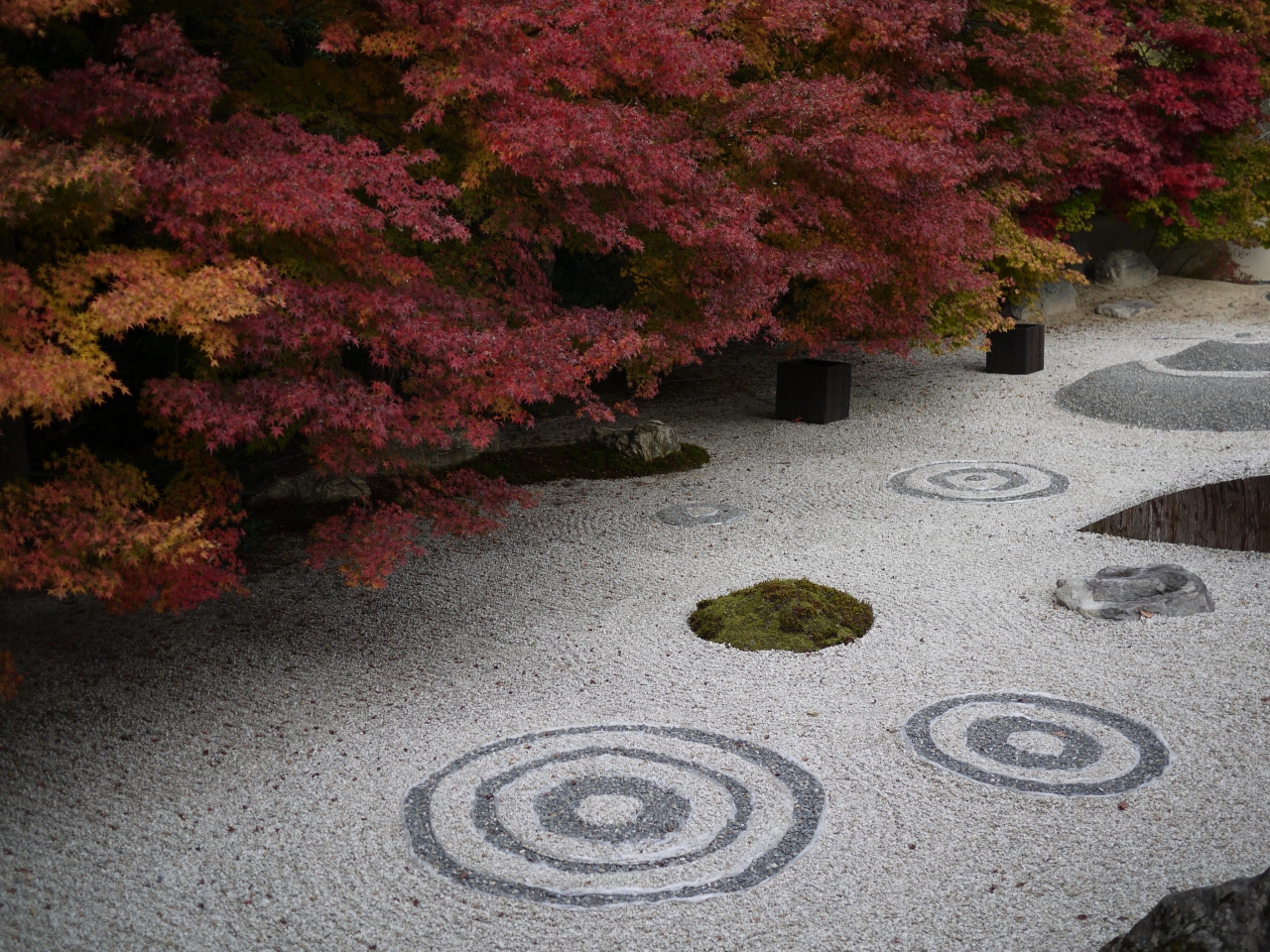 晴明神社 岩倉実相院 紅葉狩 ｎｏ2 下鴨 宝ヶ池 平安神宮 京都 の旅行記 ブログ By サプライズさん フォートラベル