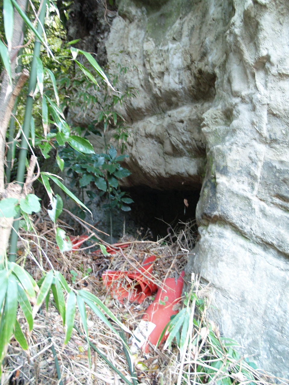 鶴岡八幡宮 車のお祓い所 脇のやぐら 鎌倉 神奈川県 の旅行記 ブログ By ドクターキムルさん フォートラベル 鶴岡八幡宮 車のお祓い所 脇のやぐら 鎌倉 神奈川県 の旅行記 ブログ By ドクターキムルさん フォートラベル