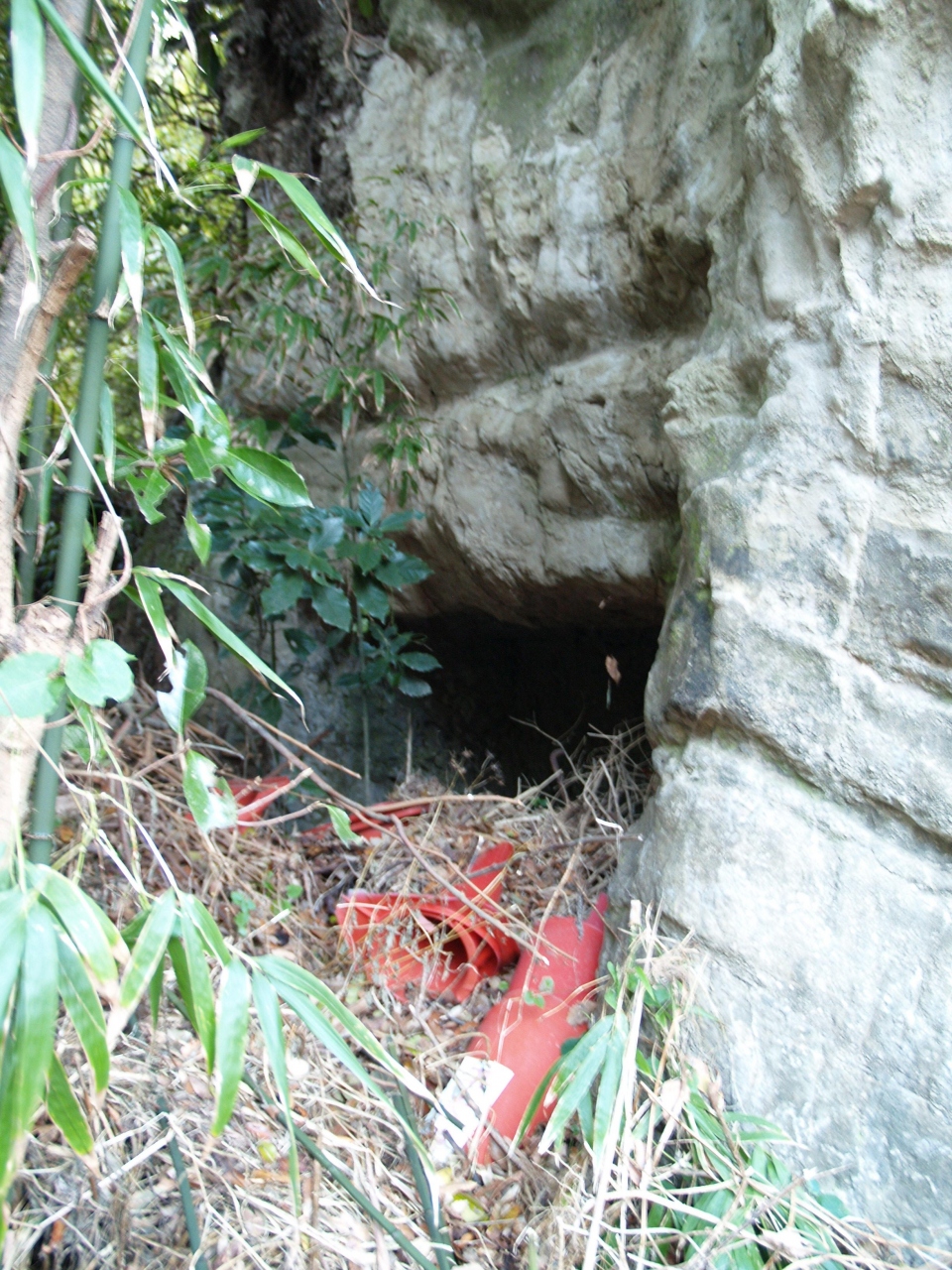 鶴岡八幡宮 車のお祓い所 脇のやぐら 鎌倉 神奈川県 の旅行記 ブログ By ドクターキムルさん フォートラベル