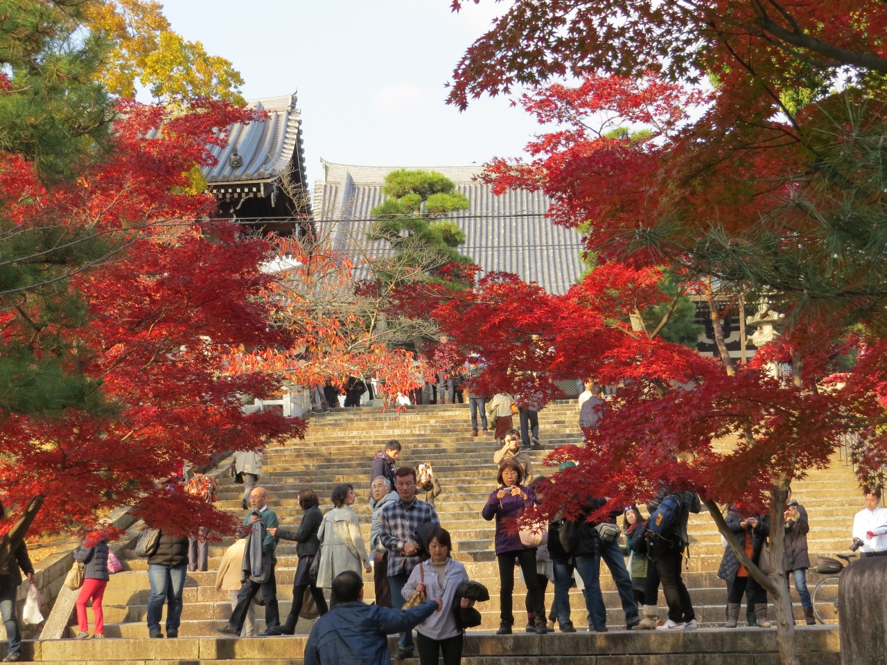 金戒光明寺 長岡天満宮と紅葉 今出川 北大路 北野 京都 の旅行記 ブログ By 十三の白髭さん フォートラベル 金戒光明寺 長岡天満宮と紅葉 今出川 北大路 北野 京都 の旅行記 ブログ By 十三の白髭さん フォートラベル