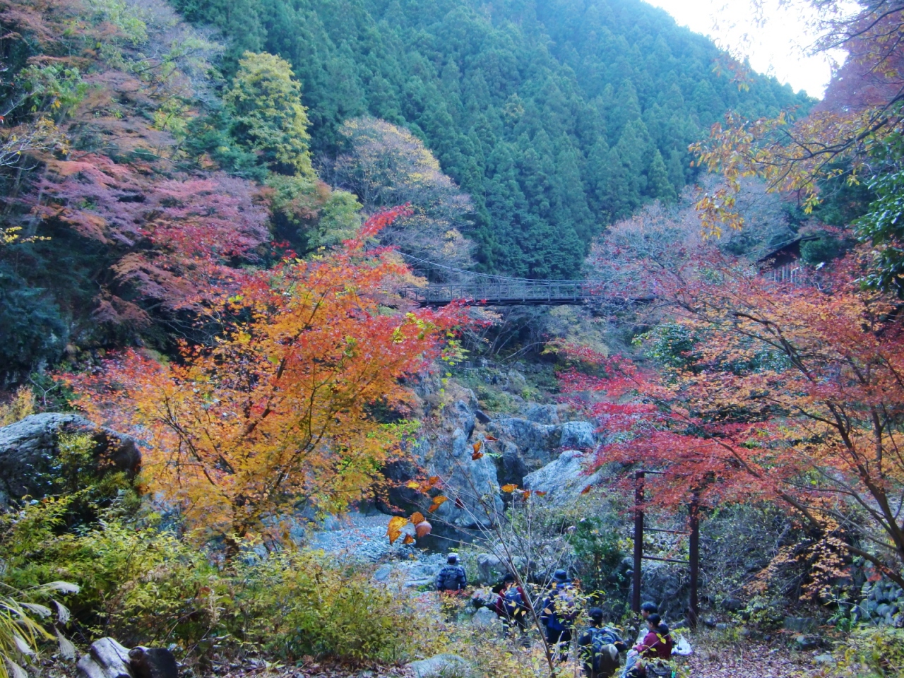 一週遅かった 奥多摩の紅葉は終盤 白丸ダムと鳩ノ巣渓谷 奥多摩 東京 の旅行記 ブログ By はんけんさん フォートラベル