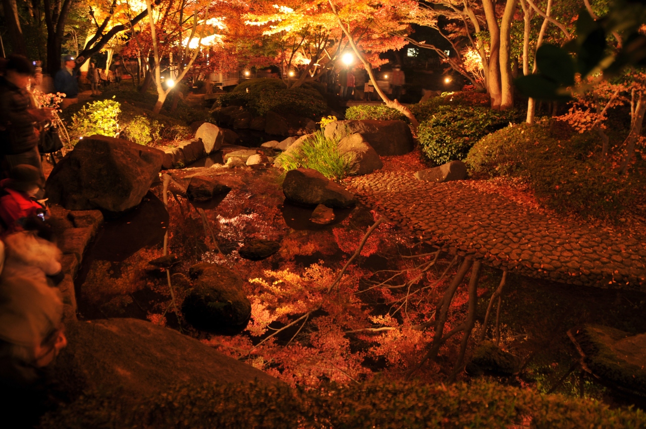小さな旅 大田黒公園の紅葉 ライトアップ 荻窪 西荻窪 東京 の旅行記 ブログ By 通りすがりの旅人さん フォートラベル