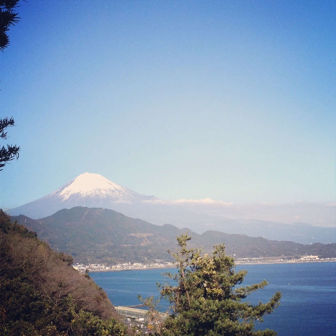 桜海老を堪能 静岡 箱根日帰りドライブ 静岡市 葵区 駿河区 静岡県 の旅行記 ブログ By Bunoさん フォートラベル