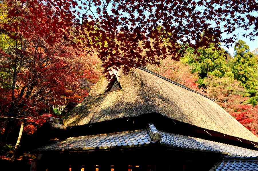 13 教林坊の紅葉と庭園 近江八幡 安土 滋賀県 の旅行記 ブログ By 風に吹かれて旅人さん フォートラベル