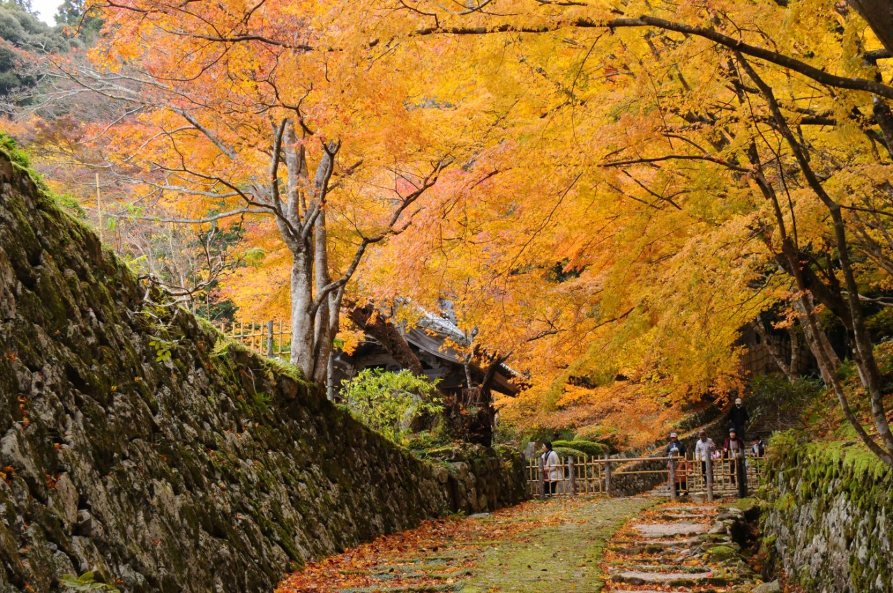 湖国で紅葉三昧 3 湖東三山 百済寺と金剛輪寺 湖東三山 多賀 東近江 滋賀県 の旅行記 ブログ By 旅猫さん フォートラベル 湖国で紅葉三昧 3 湖東三山 百済寺と金剛輪寺 湖東三山 多賀 東近江 滋賀県 の旅行記 ブログ By 旅猫さん フォートラベル