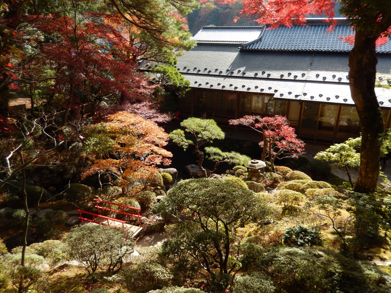 紅葉で真っ赤っか 修善寺のお庭の特別公開と温泉街をぶらり 3 修善寺温泉 静岡県 の旅行記 ブログ By Moeさん フォートラベル