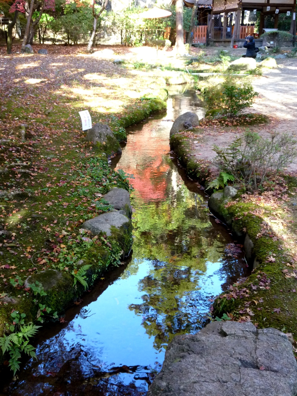 京都の紅葉 上賀茂神社 街歩き 京都駅周辺 京都 の旅行記 ブログ By 雪兎さん フォートラベル 京都の紅葉 上賀茂神社 街歩き 京都駅周辺 京都 の旅行記 ブログ By 雪兎さん フォートラベル