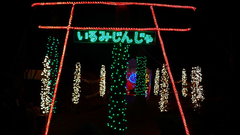山中湖 花の都公園のイルミ アートイルミネーション 下巻 富士五湖 山梨県 の旅行記 ブログ By Hn11さん フォートラベル