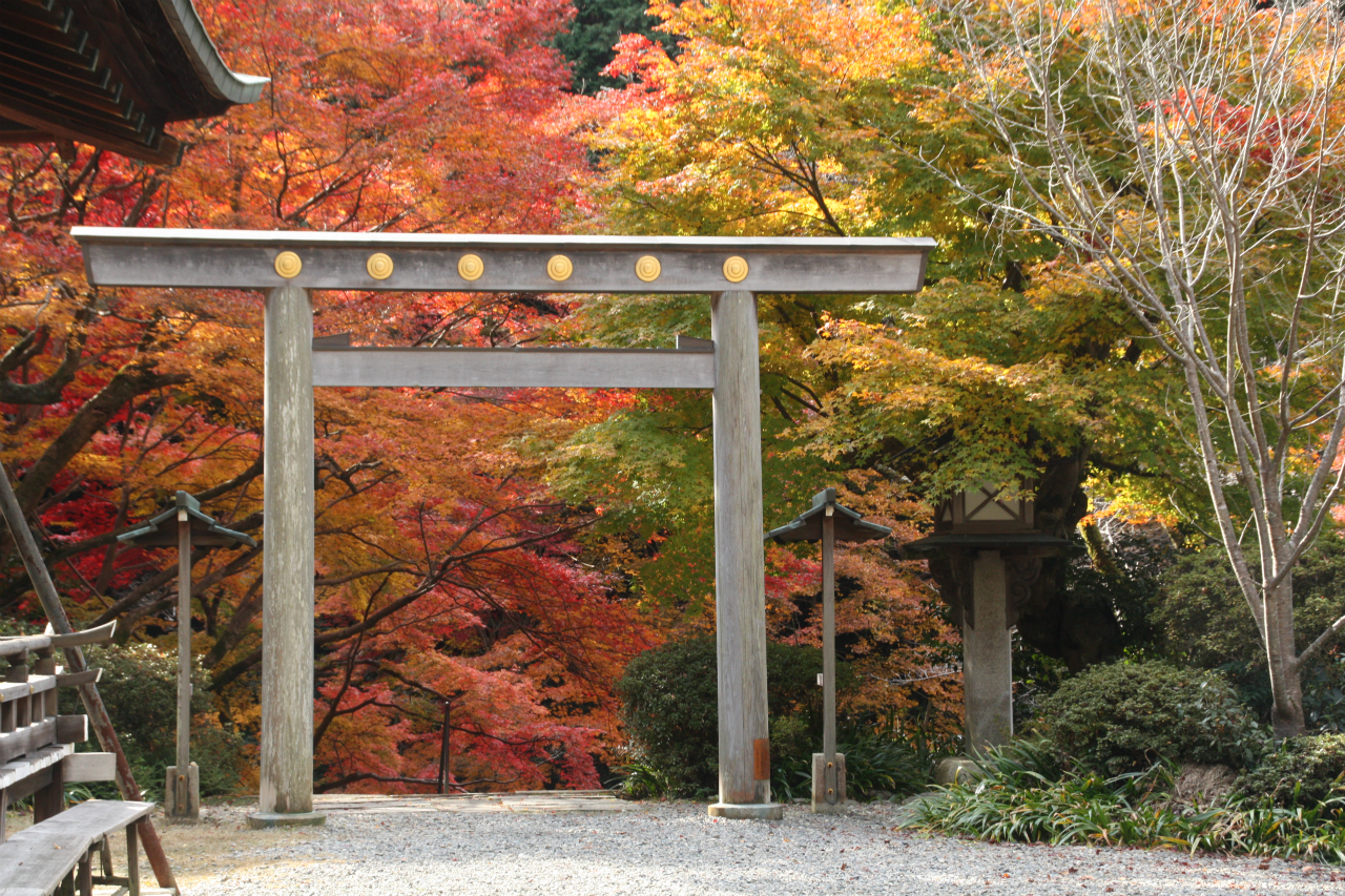 13年京都の紅葉 日向大神宮 下鴨 宝ヶ池 平安神宮 京都 の旅行記 ブログ By 花好京人さん フォートラベル