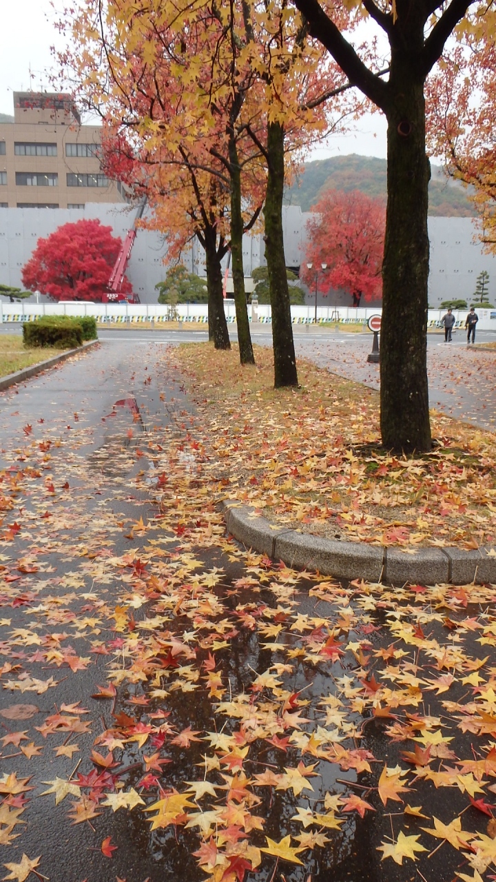 13年版 岡山大学の紅葉名所めぐり 詳細位置情報つき 岡山市 岡山県 の旅行記 ブログ By 隠居人はせじぃさん フォートラベル