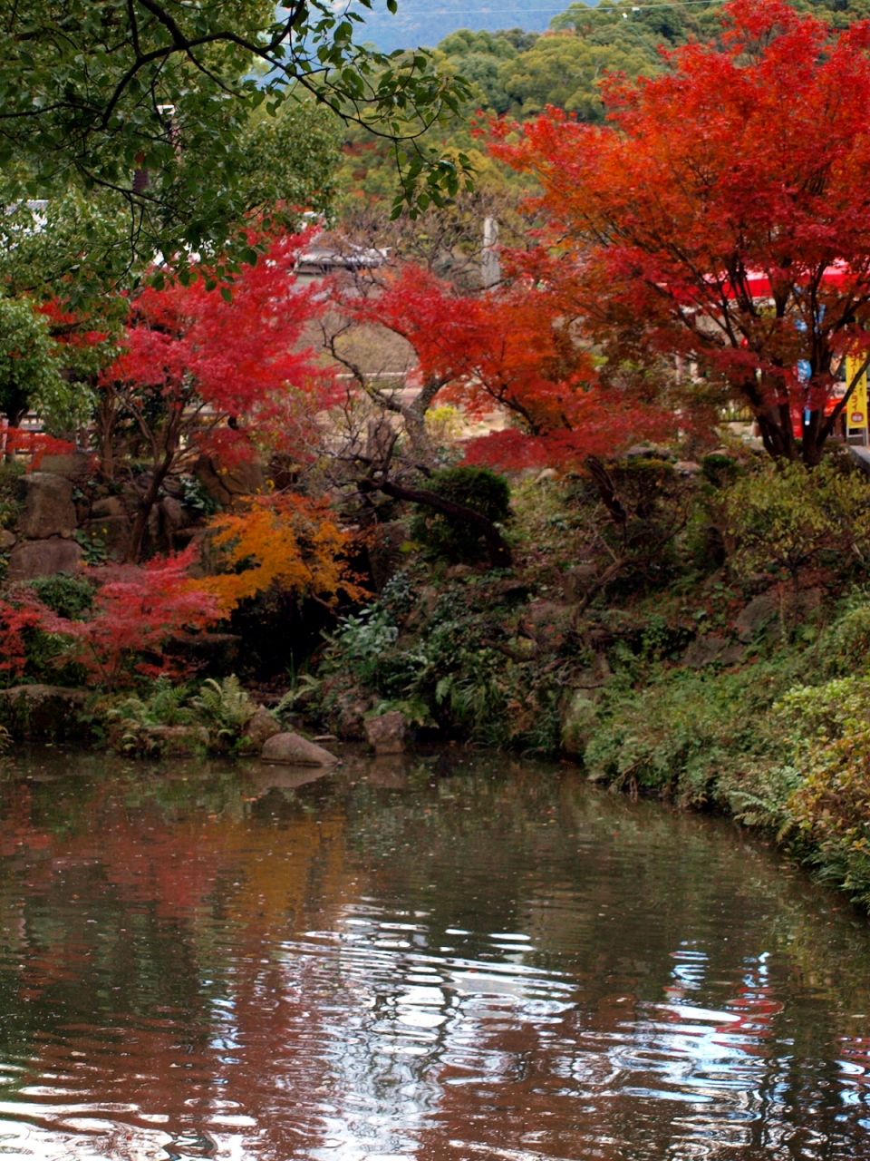 晩秋の九州旅行 2 太宰府天満宮と光明禅寺の紅葉 大宰府 福岡県 の旅行記 ブログ By まりあさん フォートラベル
