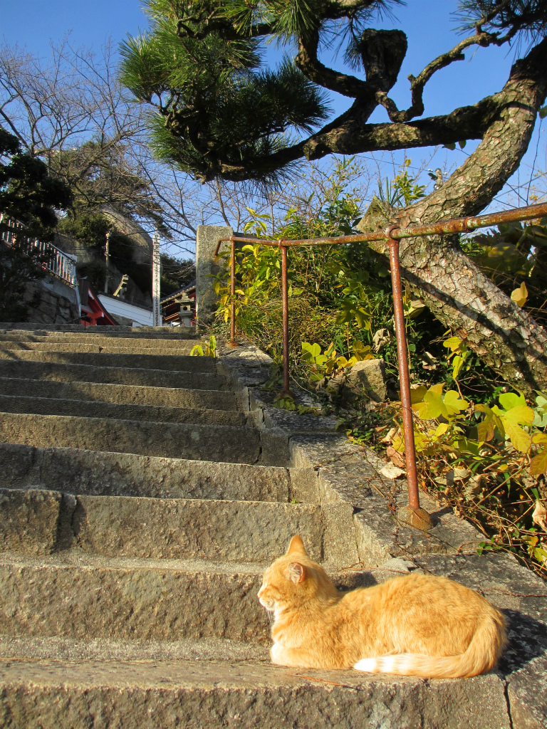 13冬 尾道 鞆の浦 寺と海と猫と坂道 day1 尾道 広島県 の旅行記 ブログ By Mengさん フォートラベル 13冬 尾道 鞆の浦 寺と海と猫と坂道 day1 尾道 広島県 の旅行記 ブログ By Mengさん フォートラベル