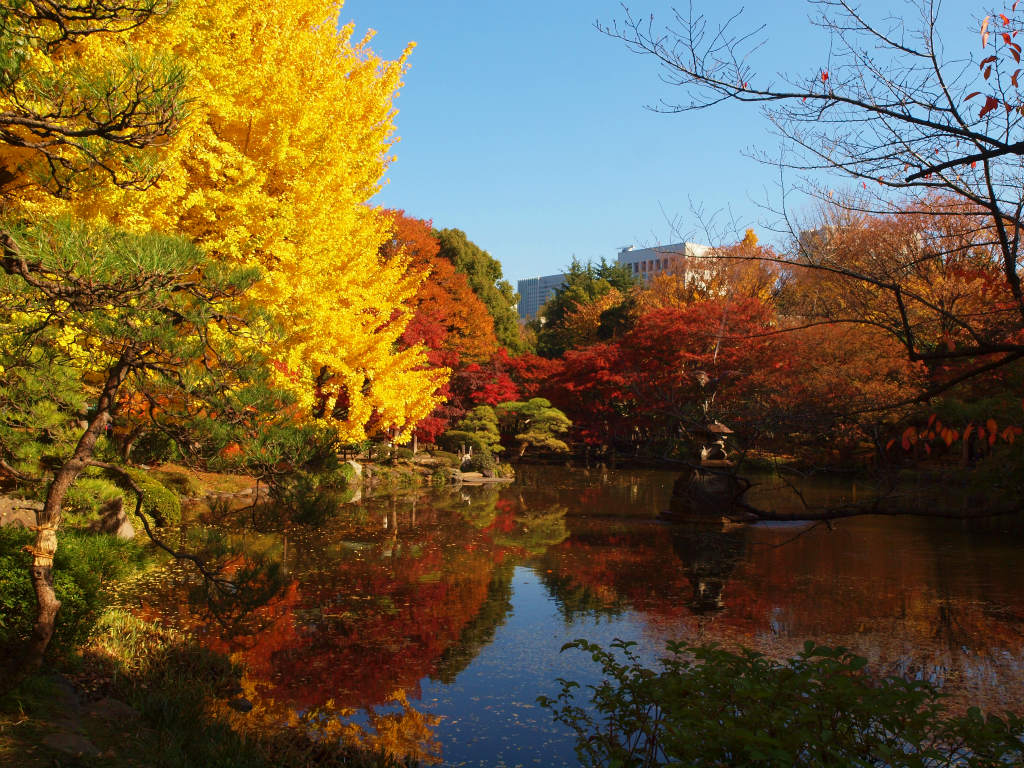 2013 晩秋 日比谷公園 上 雲形池 紅葉 黄葉 銀座 有楽町 日比谷 東京 の旅行記 ブログ By 義臣さん フォートラベル 2013 晩秋 日比谷公園 上 雲形池 紅葉 黄葉 銀座 有楽町 日比谷 東京 の旅行記 ブログ By 義臣さん フォートラベル