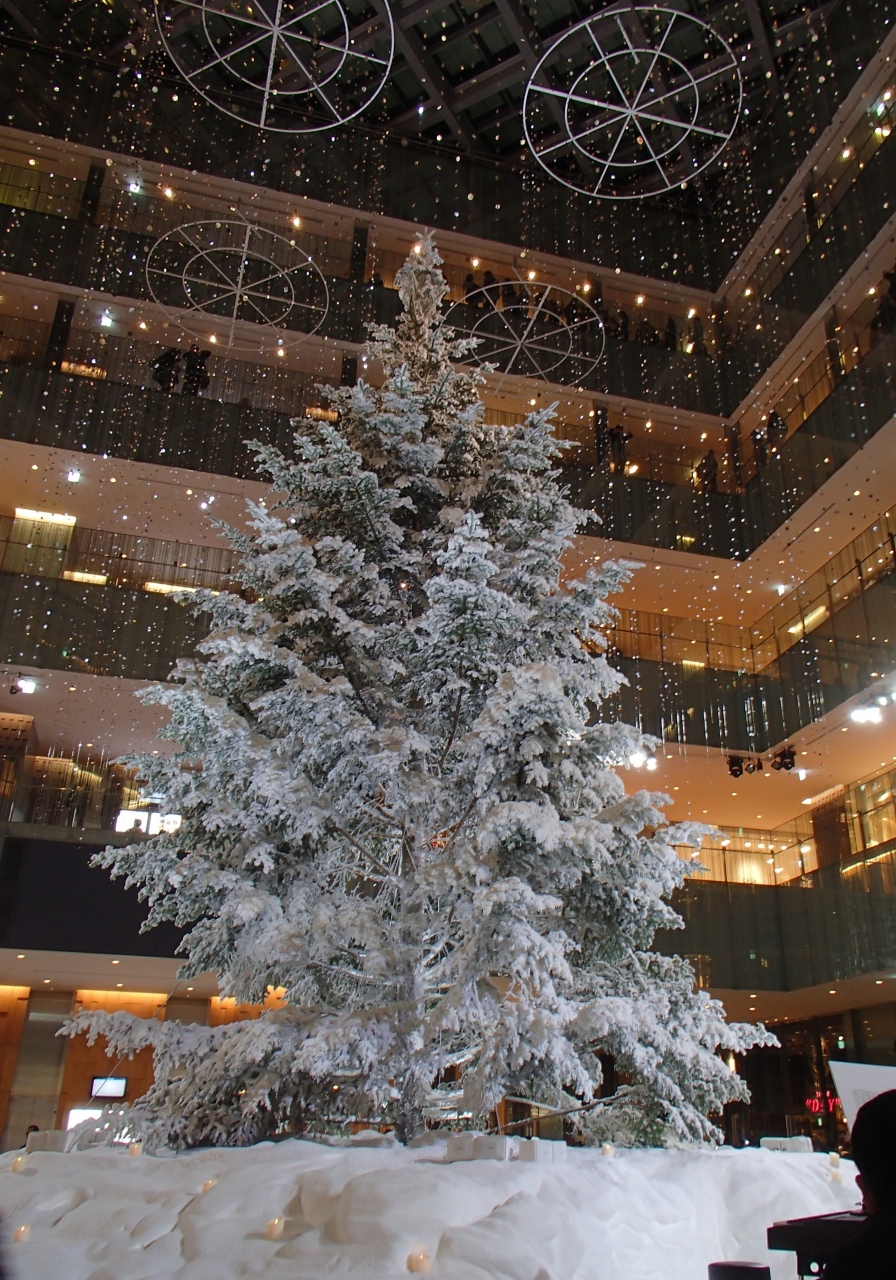 マンダリン オリエンタル 東京 Xmasランチ 日本橋 銀座 丸の内 光の散歩道 丸の内 大手町 八重洲 東京 の旅行記 ブログ By ちゅらさん フォートラベル マンダリン オリエンタル 東京 Xmasランチ 日本橋 銀座 丸の内 光の散歩道 丸の内 大手町 八重洲 東京 の旅行記 ブログ By ちゅらさん フォートラベル
