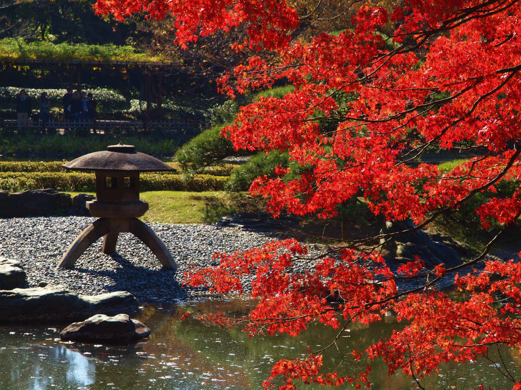 皇居 静かに 華やかに 紅葉 二の丸庭園 下 丸の内 大手町 八重洲 東京 の旅行記 ブログ By 義臣さん フォートラベル