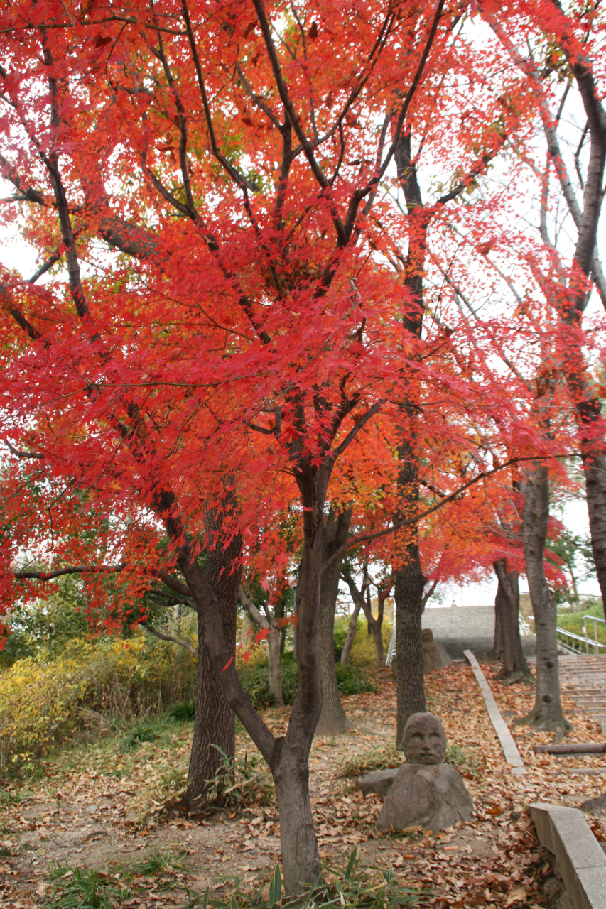 13年大阪 鶴見緑地1 紅葉 鶴見 城東 大阪 の旅行記 ブログ By 花好京人さん フォートラベル