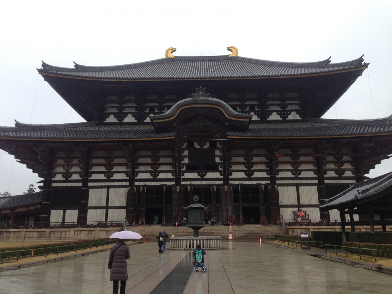 冬の奈良 奈良公園観光 奈良市 奈良県 の旅行記 ブログ By ちりんさん フォートラベル