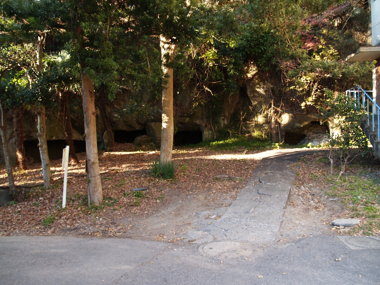 蘆花記念公園内野外活動センター裏のやぐら群 逗子市桜山8 逗子 葉山 神奈川県 の旅行記 ブログ By ドクターキムルさん フォートラベル