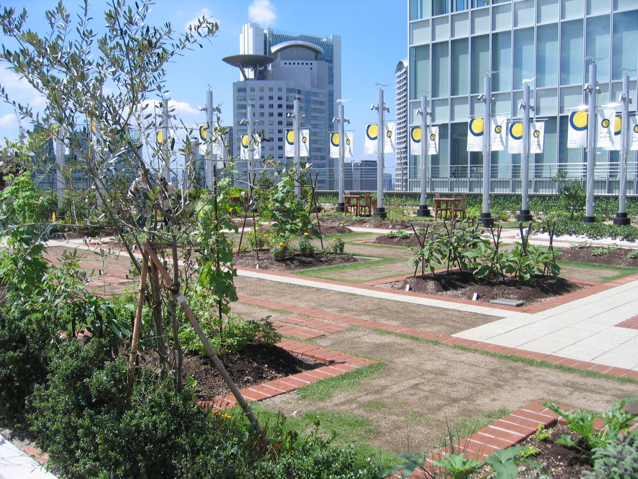 大阪ステーションシティの天空の農園に行く キタ 大阪駅 梅田 大阪 の旅行記 ブログ By Pochiさん フォートラベル 大阪ステーションシティの天空の農園に行く キタ 大阪駅 梅田 大阪 の旅行記 ブログ By Pochiさん フォートラベル