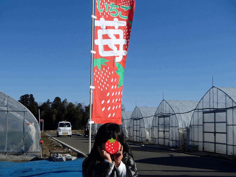 いちご狩り 日帰り温泉の栃木路 乳幼児を連れて 真岡 栃木県 の旅行記 ブログ By ちゅらさん フォートラベル いちご狩り 日帰り温泉の栃木路 乳幼児を連れて 真岡 栃木県 の旅行記 ブログ By ちゅらさん フォートラベル