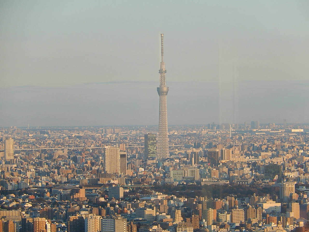 池袋サンシャイン６０展望台からの風景 東側よりの展望 東京スカイツリー等 池袋 東京 の旅行記 ブログ By Tsunetaさん フォートラベル