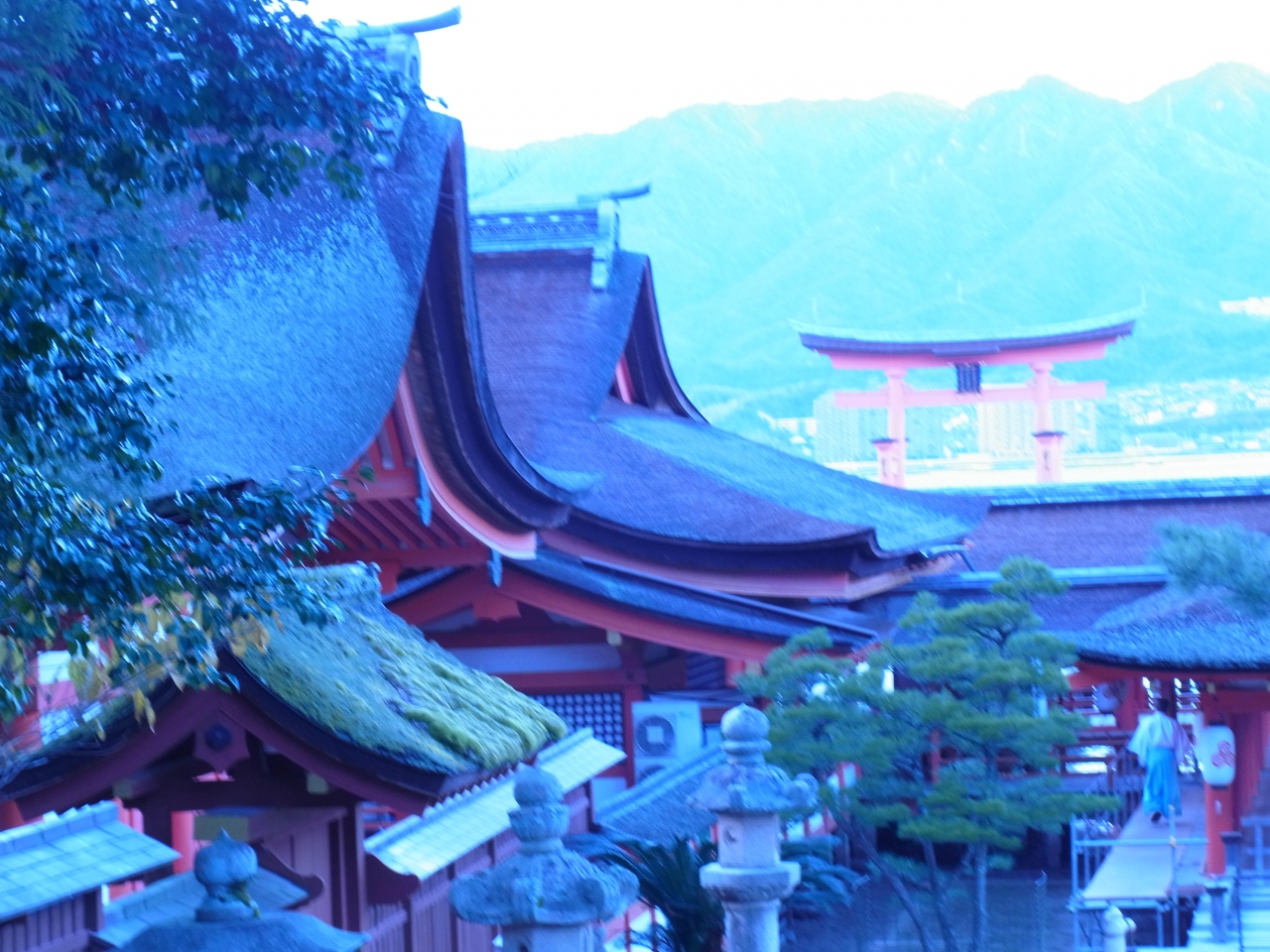 冬の宮島 1泊旅行 宮島 厳島神社 広島県 の旅行記 ブログ By Sakuraさん フォートラベル 冬の宮島 1泊旅行 宮島 厳島神社 広島県 の旅行記 ブログ By Sakuraさん フォートラベル