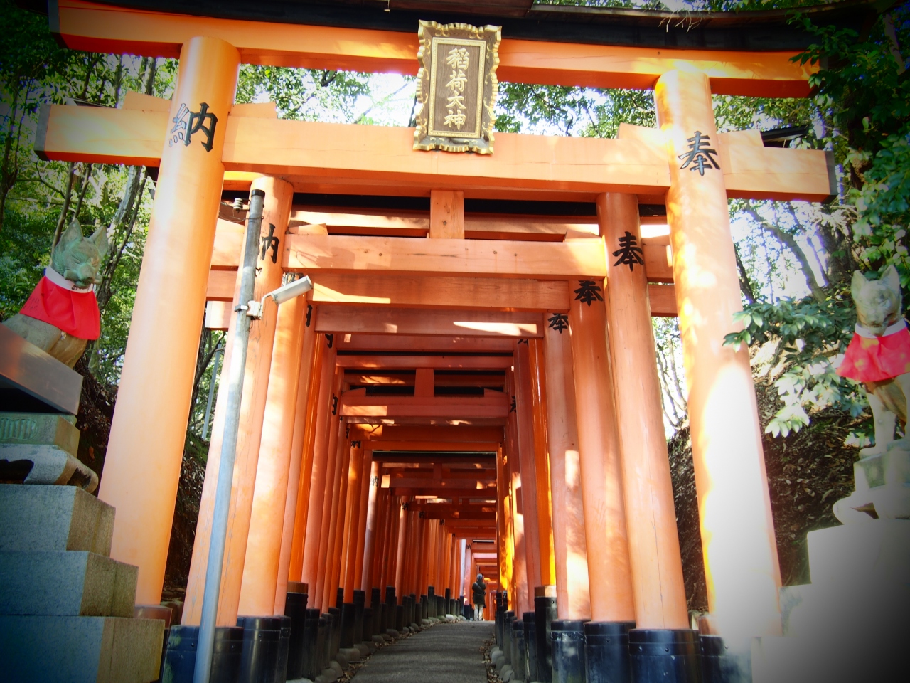 伏見稲荷を歩く 伏見 京都 の旅行記 ブログ By Uriepさん フォートラベル
