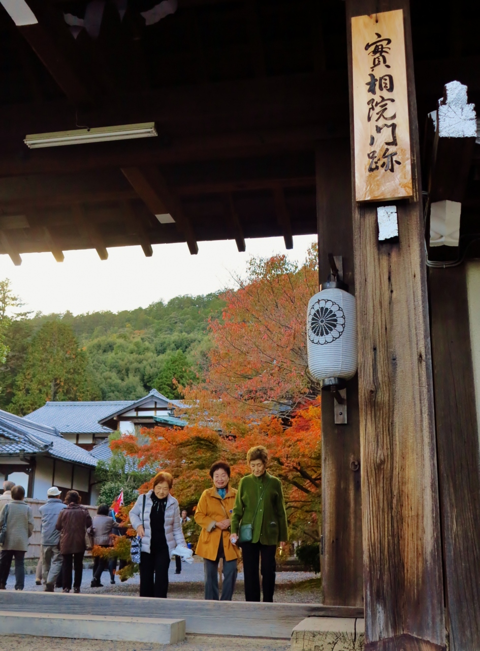 京都13 岩倉山 実相院 庭園美 床もみじ お見事 大安の土産も 今出川 北大路 北野 京都 の旅行記 ブログ By マキタン２さん フォートラベル