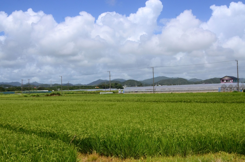 豪快 浜焼き食べ放題と新名所三井アウトレットパーク木更津でお買い物 館山 千葉県 の旅行記 ブログ By ななさん フォートラベル