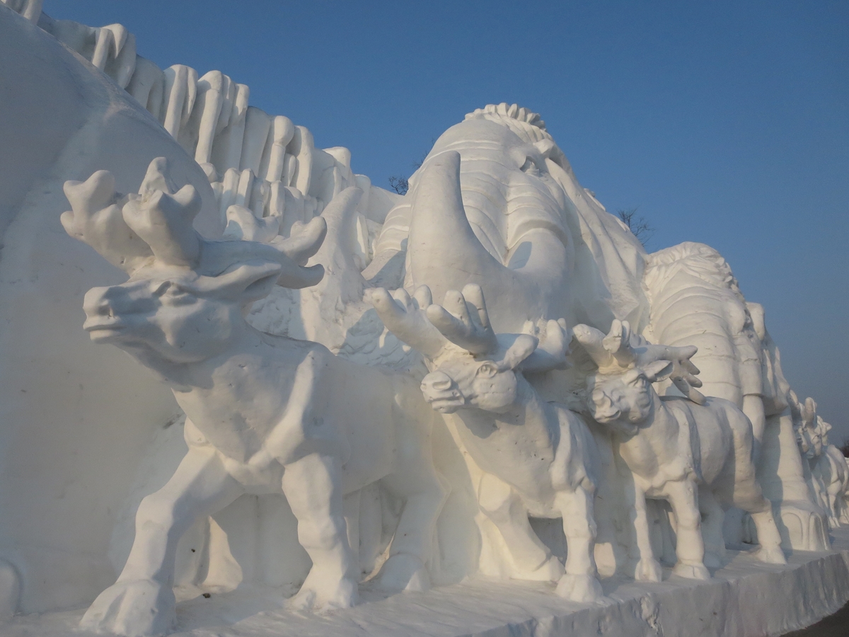 ハンパ無い 極寒のハルビン1 太陽島雪祭り 太陽島雪博会 哈爾濱 中国 の旅行記 ブログ By 熱帯魚さん フォートラベル ハンパ無い 極寒のハルビン1 太陽島雪祭り 太陽島雪博会 哈爾濱 中国 の旅行記 ブログ By 熱帯魚さん フォートラベル