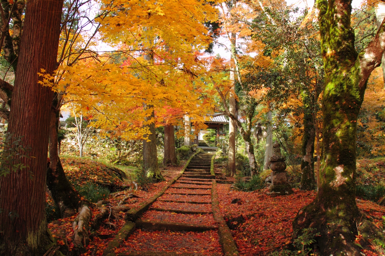 関西 紅葉 ドライブ 紅葉in東海 日帰りドライブにおすすめのスポット30選 Docstest Mcna Net 関西 紅葉 ドライブ 紅葉in東海 日帰りドライブにおすすめのスポット30選 Docstest Mcna Net