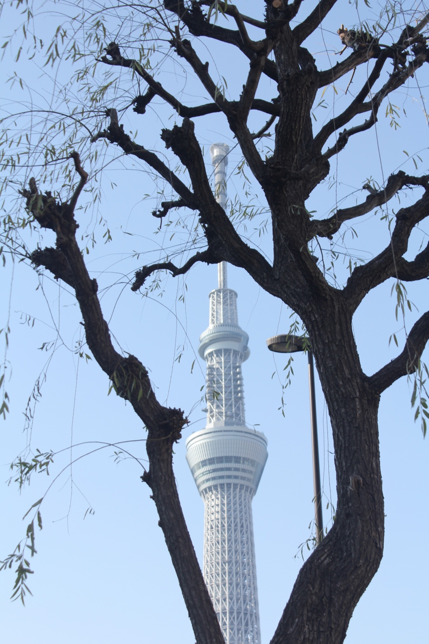 東京スカイツリーへ 葛飾柴又 東京スカイツリー 亀有 柴又 東京 の旅行記 ブログ By ターちゃんさん フォートラベル