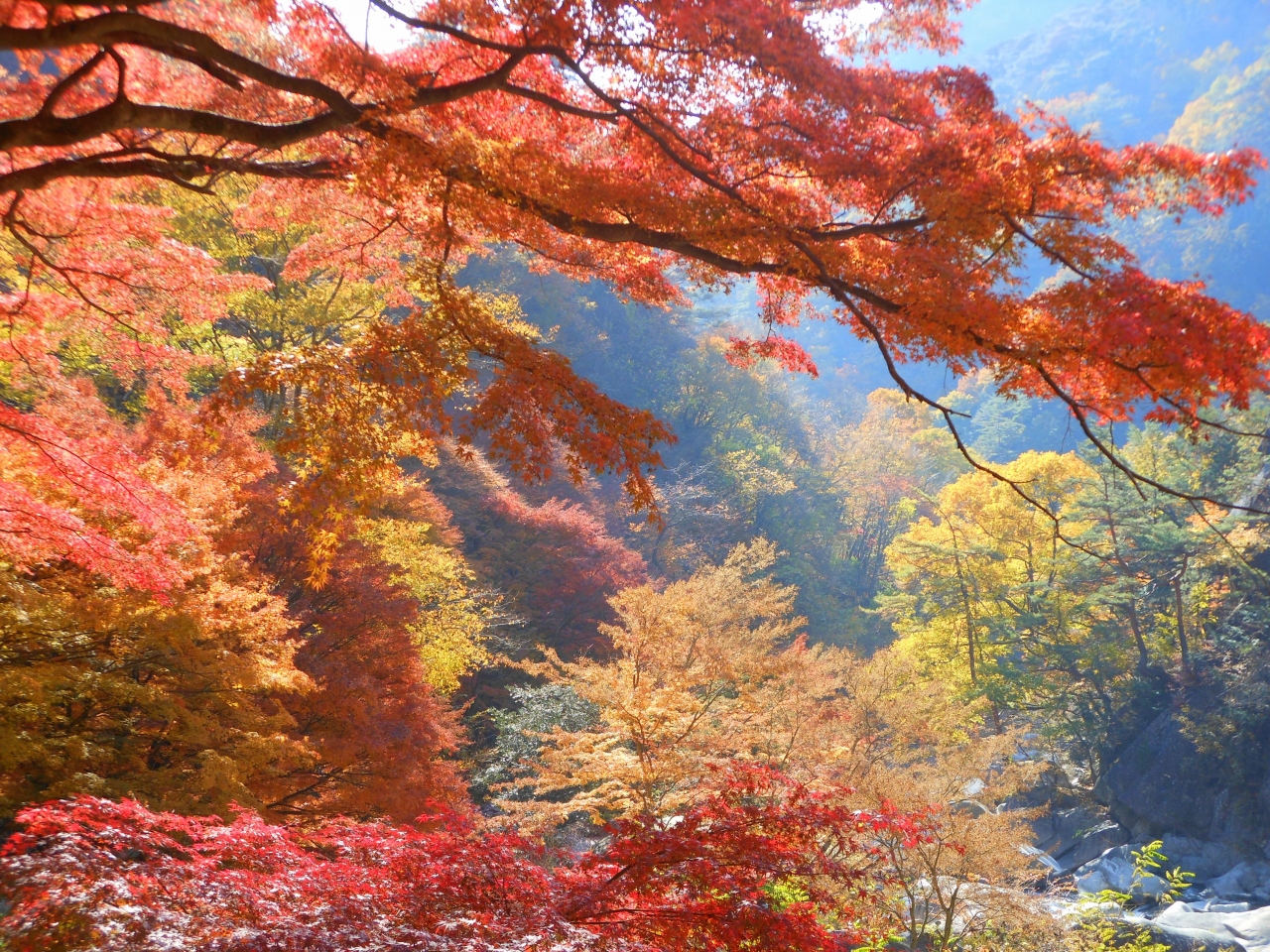 サントリー登美の丘ワイナリーと紅葉の昇仙峡旅行 甲府 山梨県 の旅行記 ブログ By Mykonosさん フォートラベル