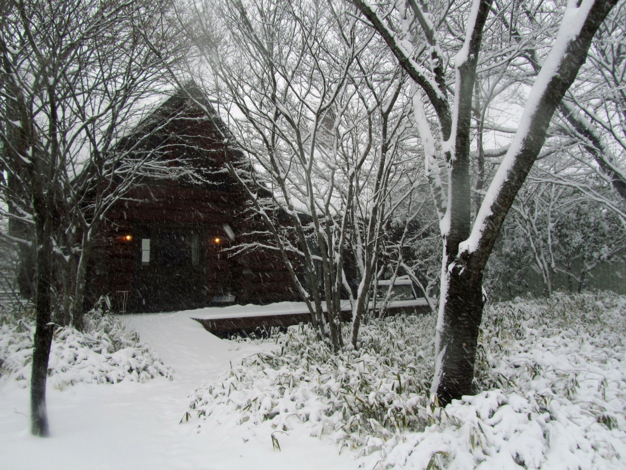 大雪 関東