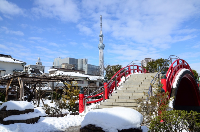 ２０１４年 亀戸天神 梅祭 亀戸 東京 の旅行記 ブログ By ななさん フォートラベル