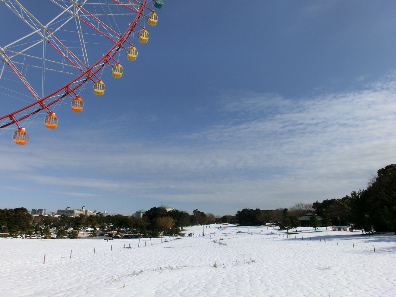 雪の葛西臨海公園 ２０１４ 葛西 東京 の旅行記 ブログ By Takekoさん フォートラベル