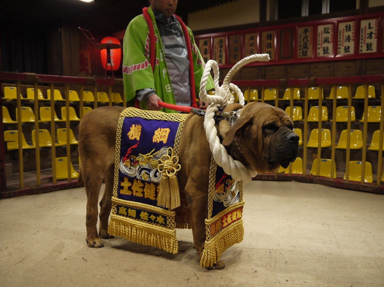 予定は未定 四国周遊の旅 二日目 高知県の旅行記 ブログ By ゆうさん フォートラベル