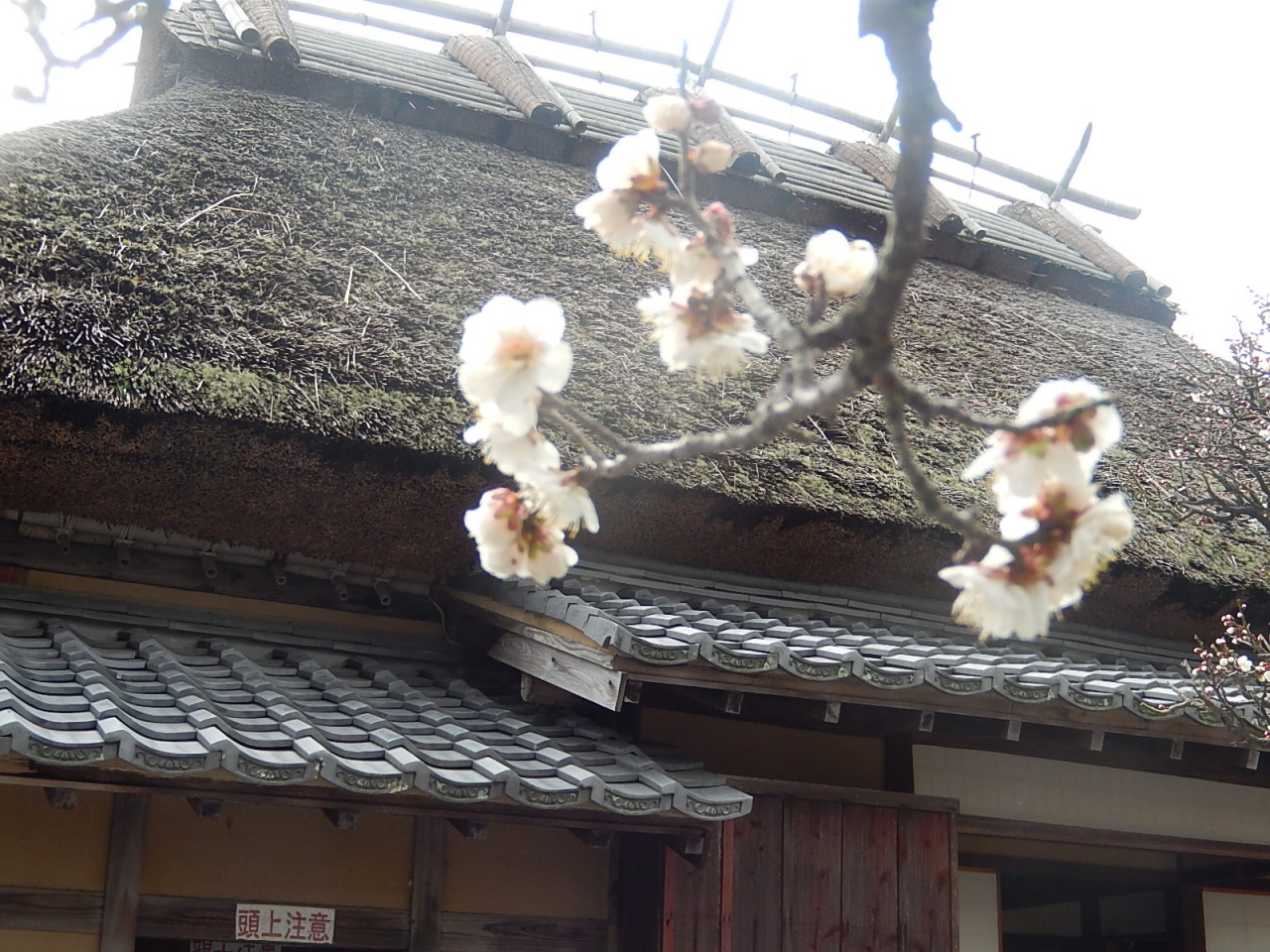 記念 福沢 館 諭吉