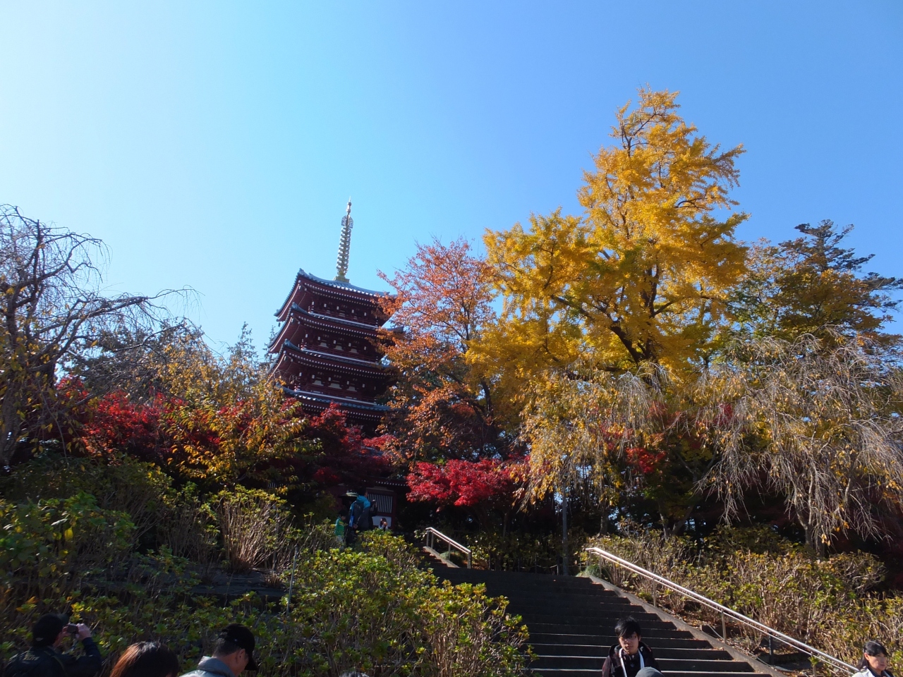 千葉 松戸 本土寺 紅葉を見にサイクリング 千葉県の旅行記 ブログ By ばちゃさん フォートラベル