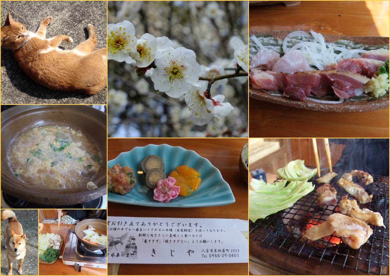 きじやでまったり 雉料理を堪能とぷらっと人吉城址へ 人吉 熊本県 の旅行記 ブログ By まひなさん フォートラベル