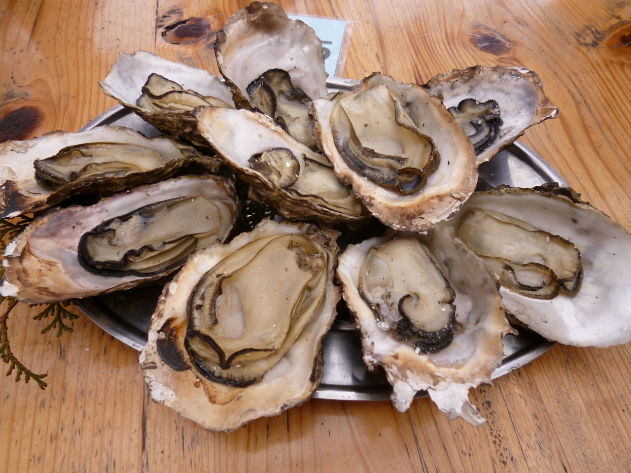 牡蠣をいっぱい食べよう ペットと一緒 お伊勢さんも行ったよ 鳥羽 三重県 の旅行記 ブログ By Yoko さん フォートラベル 牡蠣をいっぱい食べよう ペットと一緒 お伊勢さんも行ったよ 鳥羽 三重県 の旅行記 ブログ By Yoko さん フォートラベル