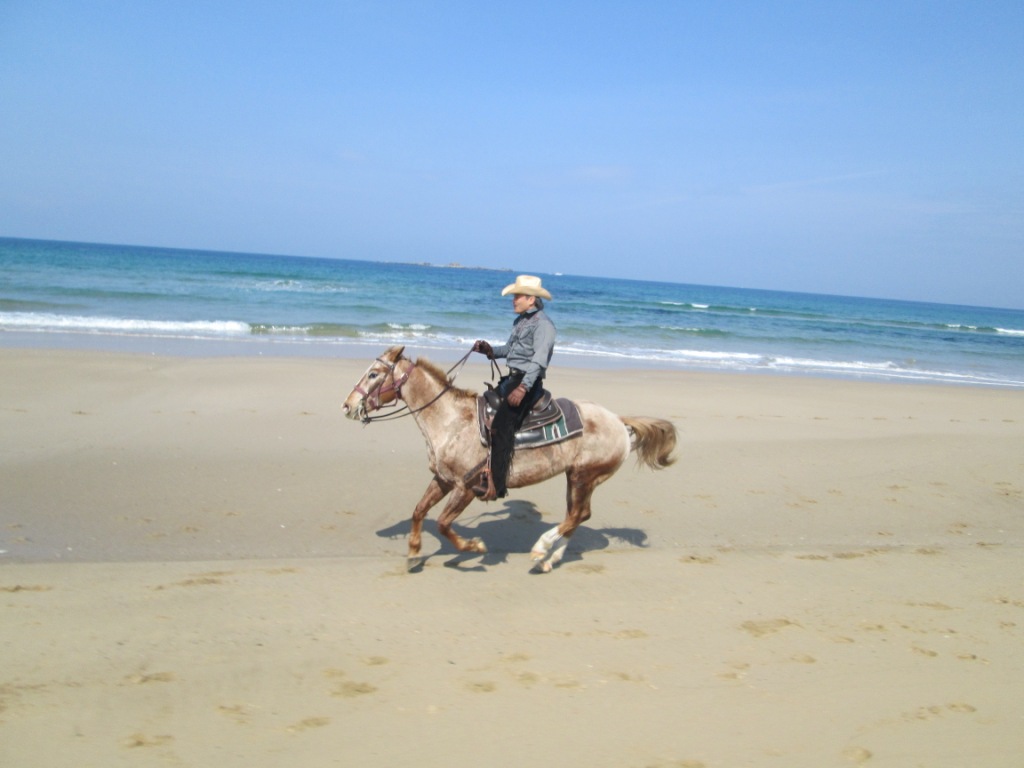 ビーチライディングイン糸島 糸島市 前原 福岡県 の旅行記 ブログ By Corosukeさん フォートラベル ビーチライディングイン糸島 糸島市 前原 福岡県 の旅行記 ブログ By Corosukeさん フォートラベル