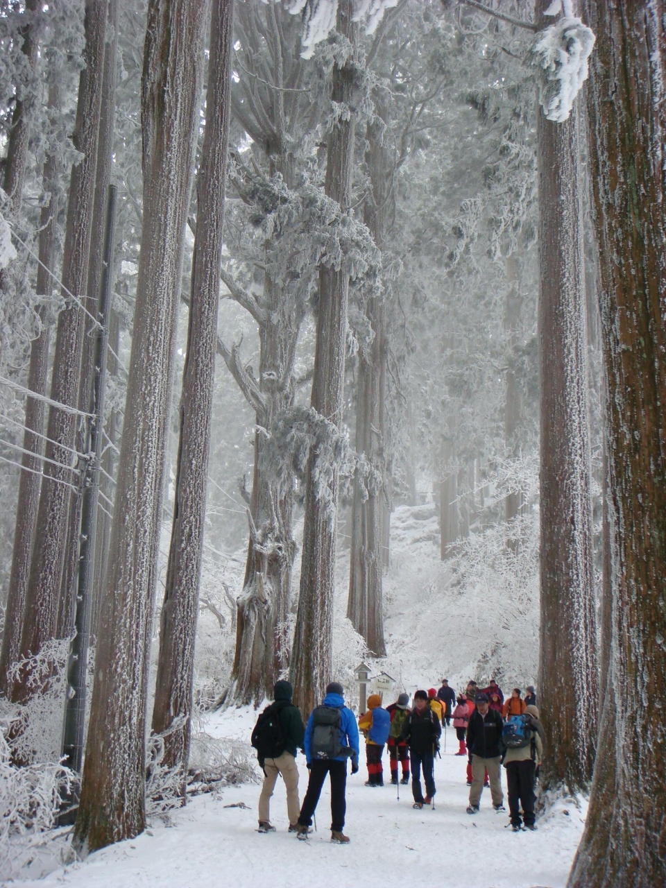 金剛山積雪 金剛山積雪