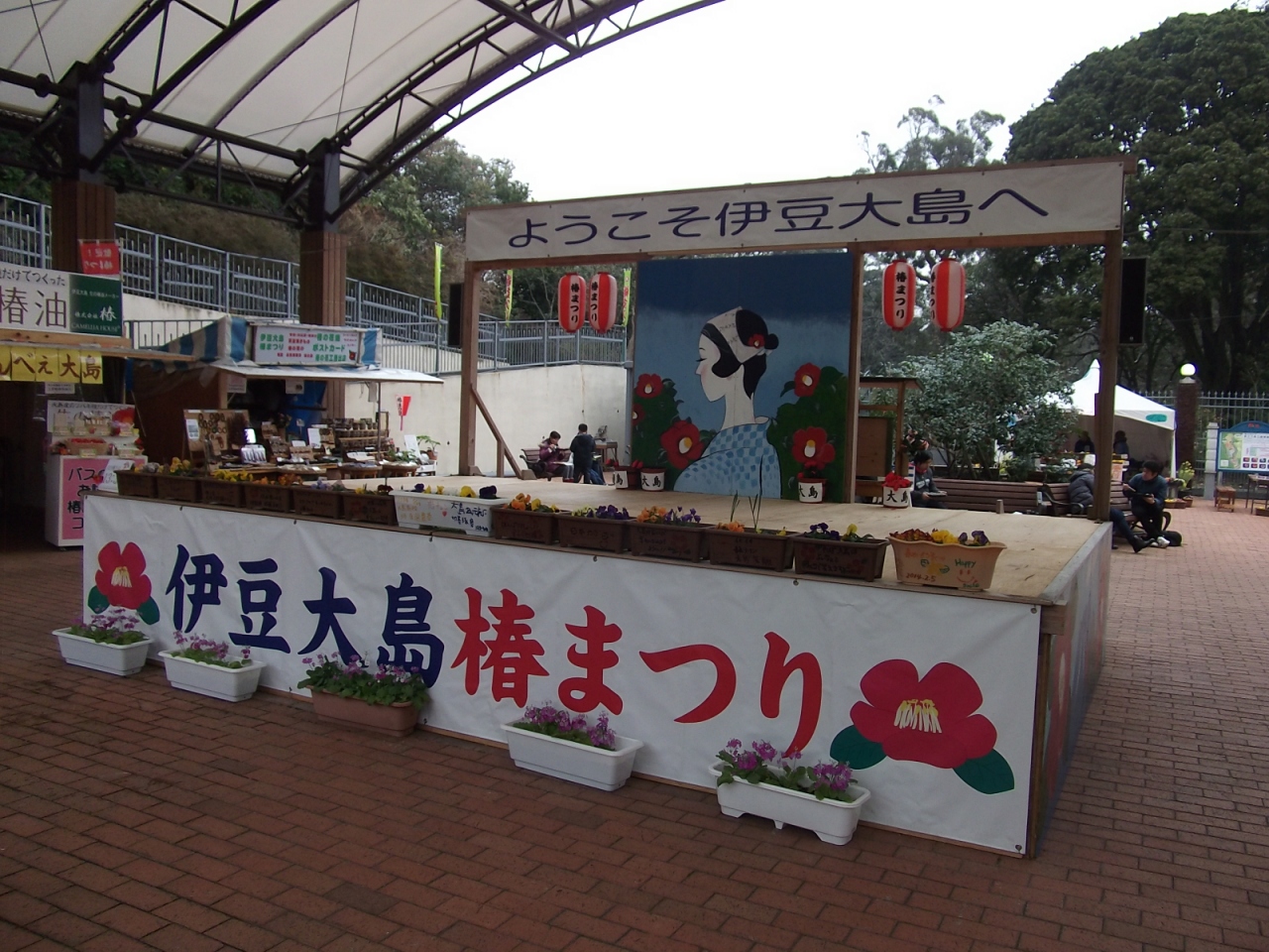 伊豆大島 レンタカーで島一周 飛行機と船で日帰り 伊豆大島 東京 の旅行記 ブログ By Mr Tさん フォートラベル