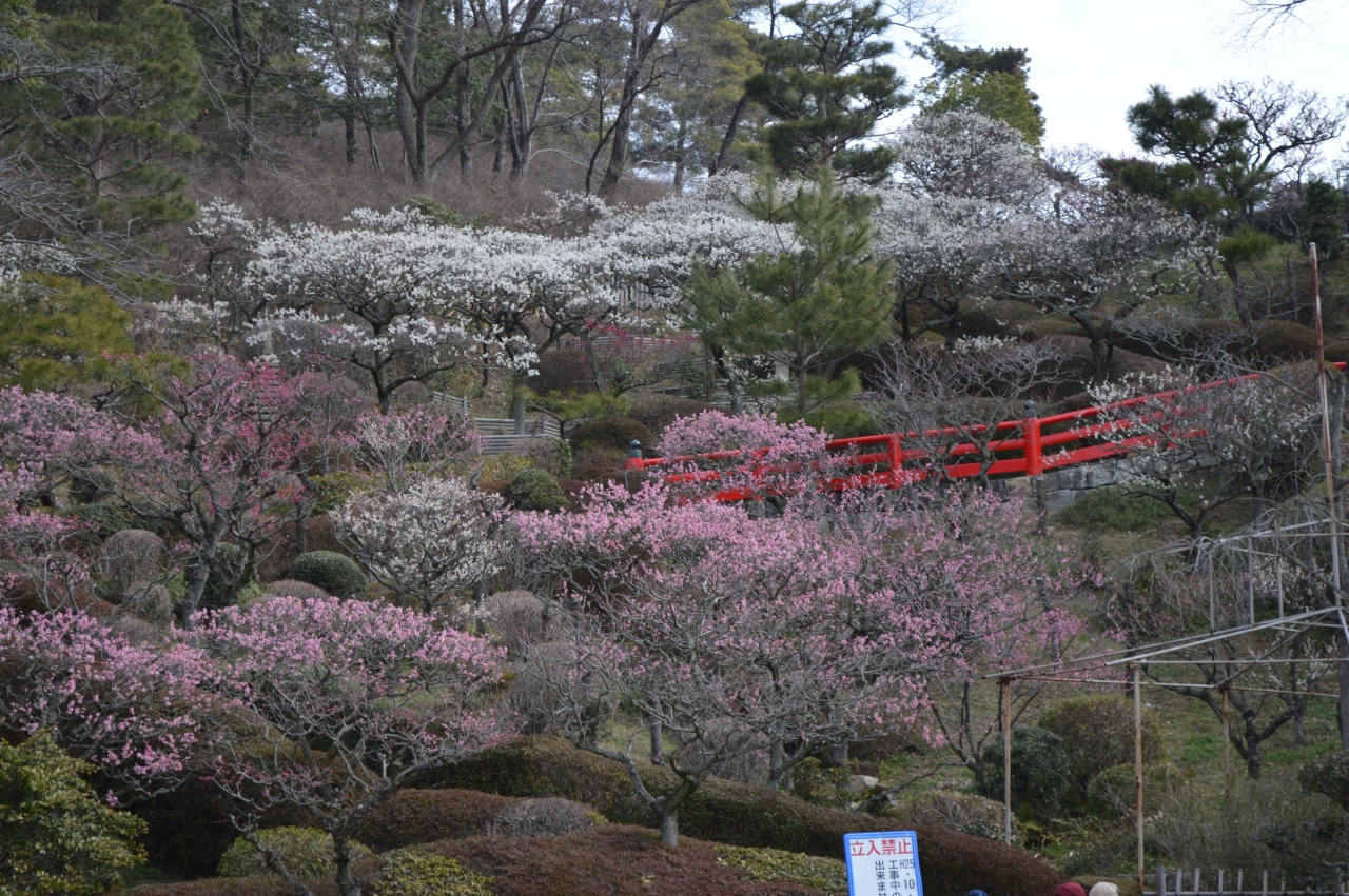 おしどり夫婦の中山寺 梅まつり 宝塚 兵庫県 の旅行記 ブログ By おしどりさん フォートラベル
