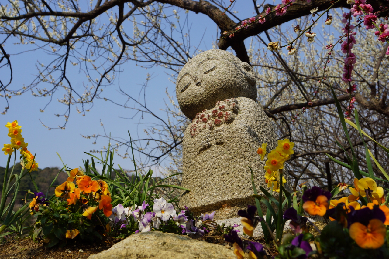 兵庫の梅めぐり 2014年 たつの 揖保川 御津 兵庫県 の旅行記 ブログ By Hiro3さん フォートラベル 兵庫の梅めぐり 2014年 たつの 揖保川 御津 兵庫県 の旅行記 ブログ By Hiro3さん フォートラベル